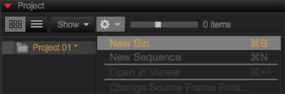 Create New Bin from Gear Menu